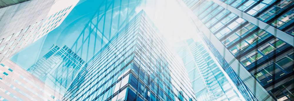 Go Property Reports